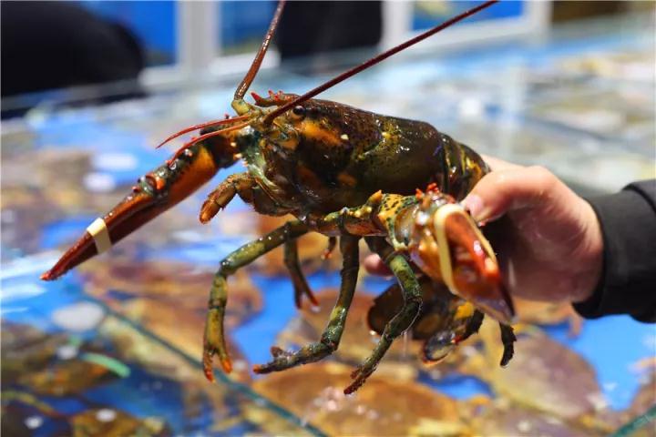 【時代儒商】膠東碼頭海鮮城淮揚菜、魯菜、海鮮超多美味！滿足您的味蕾~~