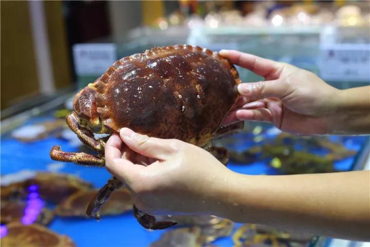 【時代儒商】膠東碼頭海鮮城淮揚菜、魯菜、海鮮超多美味！滿足您的味蕾~~