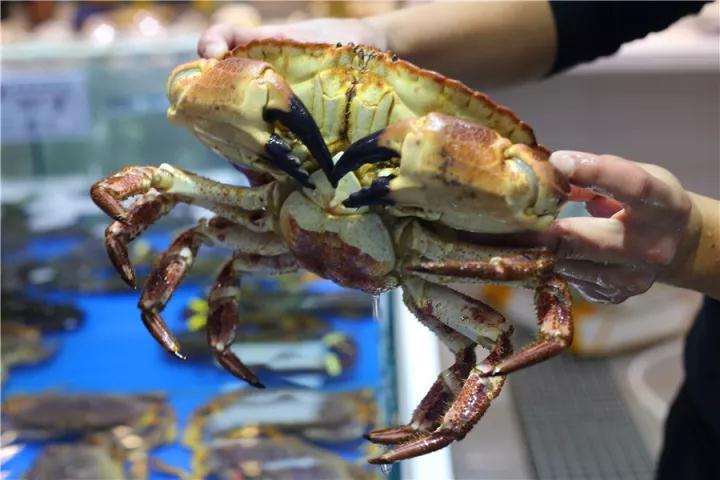 【時代儒商】膠東碼頭海鮮城淮揚菜、魯菜、海鮮超多美味！滿足您的味蕾~~